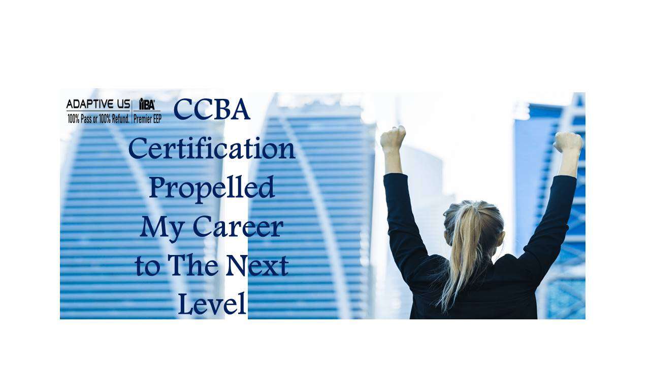 CCBA試験攻略